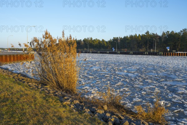 Winter landscape with canal lined with reeds and trees under clear blue sky, ice floes, Hohenwarthe