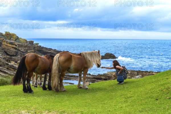 Woman crouching on green grass feeding wild horses along the rugged jaizkibel coastline, with the