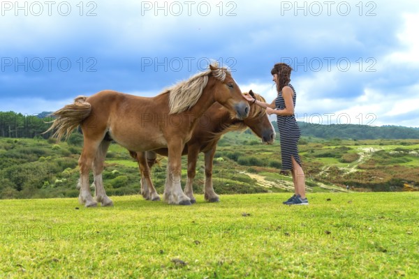 Woman gently petting brown horses in a wide green pasture, sharing a calm moment of bonding and