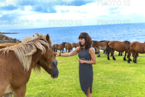 Woman interacting with a wild gray horse, gently petting its face while a herd of brown horses
