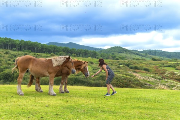 Woman extending an arm, feeding two brown horses standing on a green grass field, with rolling