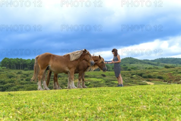 Woman gently petting two horses in a vast green field with rolling hills and a dense forest under a