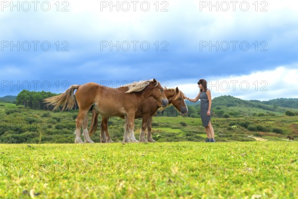 Woman standing on a lush green meadow, gently touching a wild horse while a second horse stands