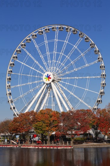 The Montreal Observation Ferris Wheel and Bassin Bonsecours in autumn, Old Port of Montreal,