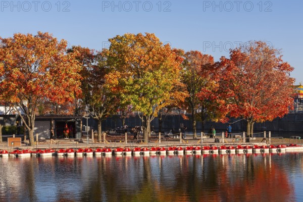 Moored recreational peddle boats in Bassin Bonsecours and Parc du Bassin Bonsecours in autumn, Old