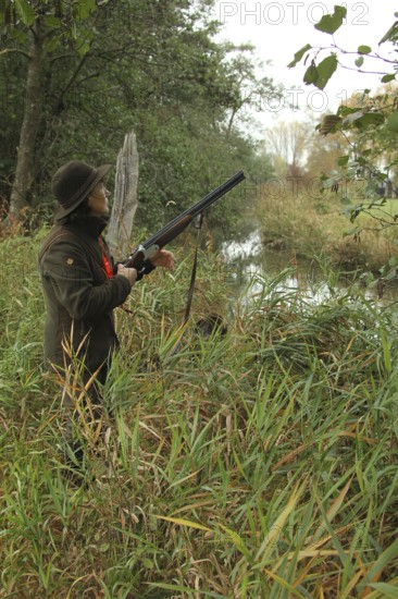 Female hunter with hunting rifle waits eagerly at the stream for flying ducks, Allgäu, Bavaria,