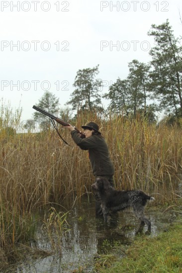 Huntress with hunting rifle stands in reeds in water and aims at flying ducks, hunting dog Cesky