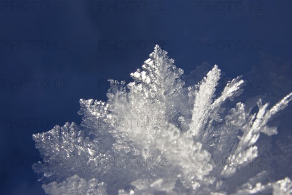 Snow crystals, ice crystals, sun, Upper Bavaria, Germany