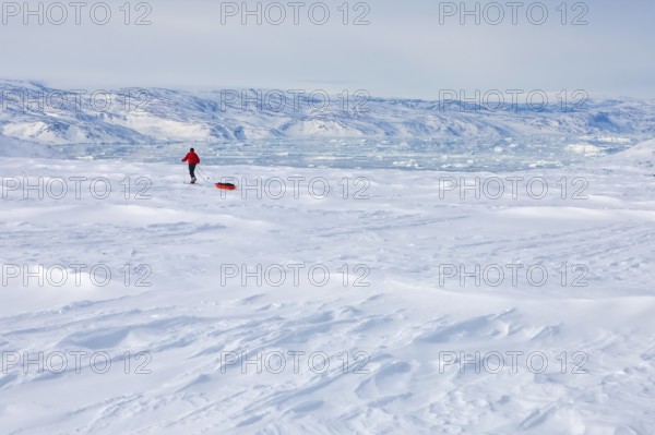 A tourist on a winter Arctic expedition skiing along Ikasartivaq Fjord, Sermersooq municipality,