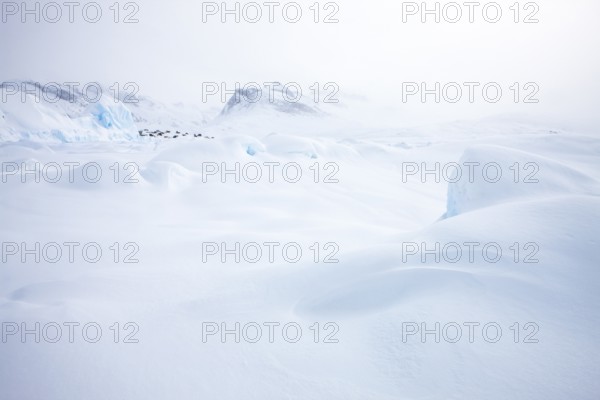 Tiniteqilaaq covered in snow during winter. The village is one of five settlements around