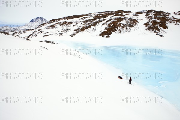 A tourist on a winter Arctic expedition skiing along Ikasartivaq Fjord, Sermersooq municipality,