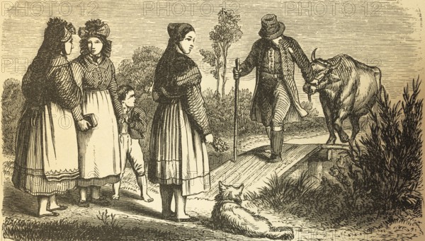 Resident of the province of Saxony, rural scene, man leading beef across footbridge, three woman