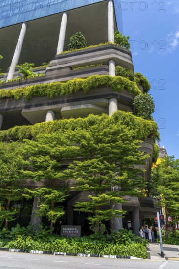 Parkroyal Collection Pickering, luxury five-star hotel with green walls and sky gardens in Central