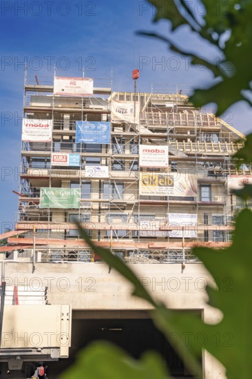 Building construction on a construction site with scaffolding, plants visible in the foreground,