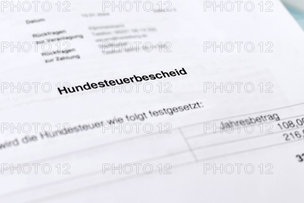 German tax notice document with the word Hundesteuerbescheid (translation: dog tax assessment