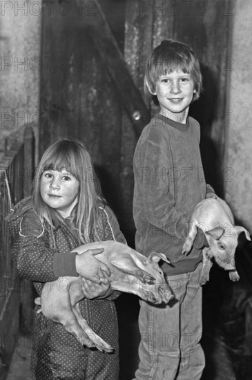 Little girl and boy with a piglet in their arms, in stable, on a former Franconian farm, black and