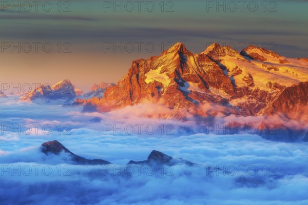 View from the Schilthorn to the Mittelhorn at sunset, Grindelwald, Bernese Oberland, Switzerland