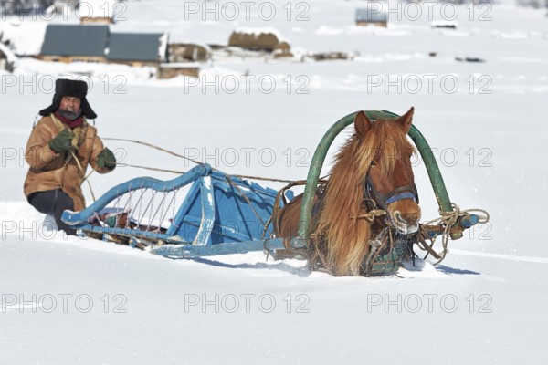 In deep snow, a man moves with his horse-drawn sled in the Altai Mountains, Altay Prefecture,