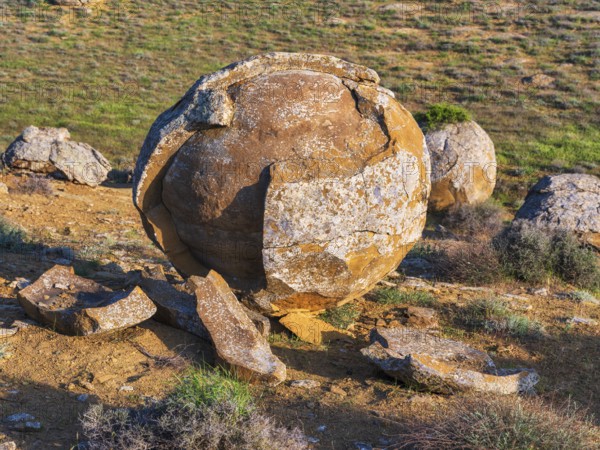 The large spherolites (concretions) at Torysh, with over 500–600 spheres of various sizes covering