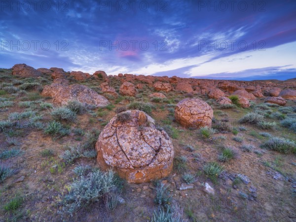The large spherolites (concretions) at Torysh, with over 500–600 spheres of various sizes covering