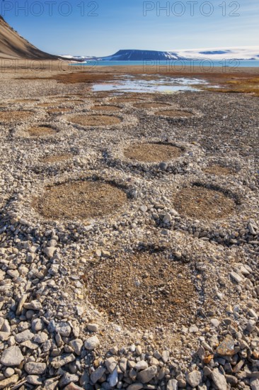 Natural geological formations shaped by cryoturbation (frost churning) in the Arctic desert,