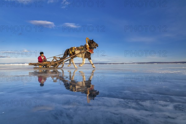 A local resident from northern Mongolia crosses Khuvsgul Lake, which is icy on slits drawn by a