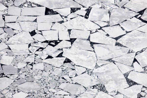 Melting icepack, East Greenland (Kalaallit Nunaat), Arctic Ocean, geographically part of North