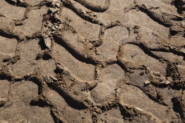 Close-up and top view of deep tire tracks made by earth loader in light brown sand at construction
