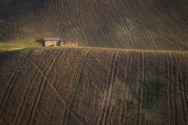 Farmhouse in the Marche hills, surrounded by plowed fields, not far from the town of Corridonia,