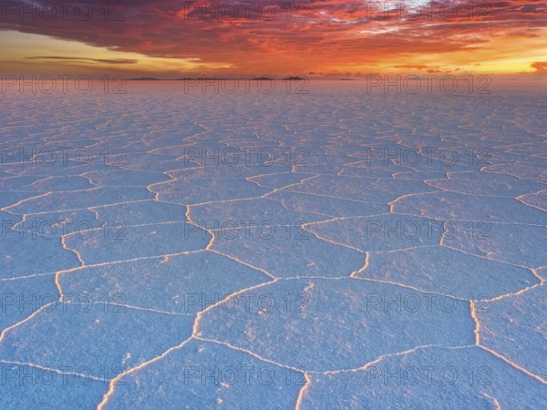 Salar de Uyuni, salt polygons at sunset on the world's largest salt flat, 3, 656?m above sea level,