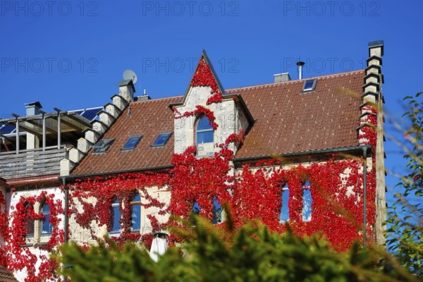Restaurant Altes Forsthaus near Lichtenstein Castle, restaurant, dining restaurant, historic