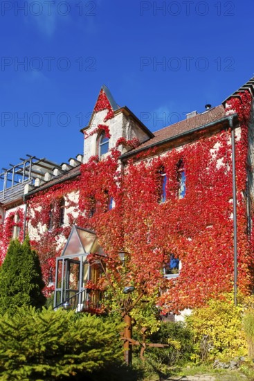Restaurant Altes Forsthaus near Lichtenstein Castle, restaurant, dining restaurant, historic