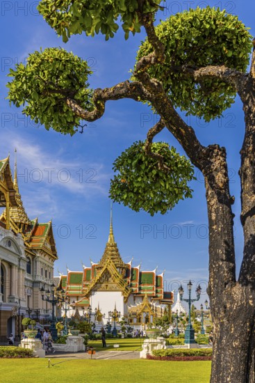 The Grand Royal Palace, trees with spherical branches, in the back the Chakri Maha Prasad throne