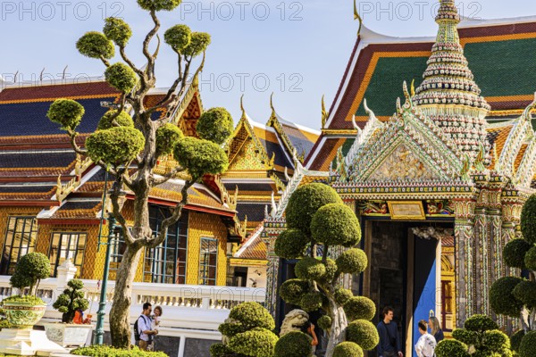 The Grand Royal Palace, trees with spherical branches, Dusida Bhirom Hall in the back, Phra Nakhon,