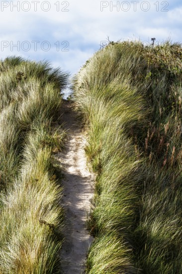 Dunes over Bamburgh Castle, Northumberland, Northeast Coast, England, UK