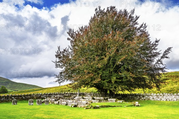 The Chapel at Hermitage, Hermitage Castle, Hermitage Water, Liddesdale, Roxburghshire,