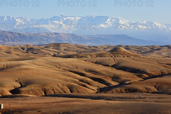 Agafay desert, rocky desert, snow-covered Atlas Mountains behind, near Marrakesh, Morocco