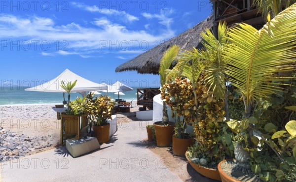 Restaurants and cafes with ocean views on Playa De Los Muertos beach and pier near famous Puerto