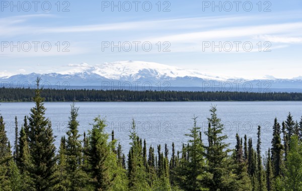 Lake Willow Lake, taiga landscape with high glaciated mountain peak Mount Wrangell, Wrangell