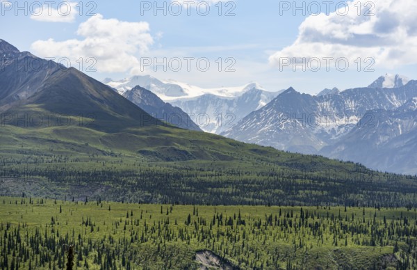 Taiga and tundra in front of mountain landscape, picturesque landscape with icy mountain peaks,