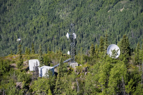 Transmission tower and satellite dishes and antennas between trees, Lion's Head, Chugach Mountains,