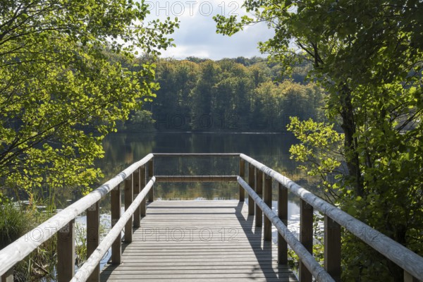 Viewing Platform, Schwarzer See, Granitz Nature Reserve, Southeast Rügen Biosphere Reserve, Rügen