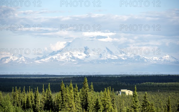 Taiga landscape with forest and high glaciated mountain peak Mount Sanford, Wrangell Mountains,