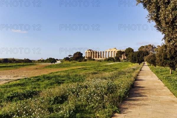 Temple E, Temple of Hera in the ancient Greek city of Selinunte, acropolis, hiking trail,