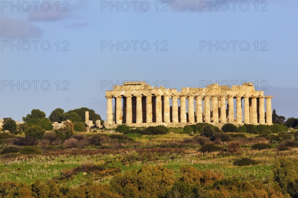 Temple E, Temple of Hera in the ancient Greek city of Selinunte, acropolis, Doric style, maquis,