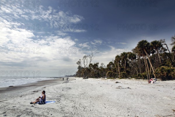 White sandy beach with palm trees under a wide sky, quiet scene, Hunting Island, South Carolina,