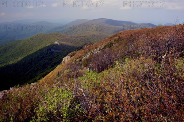 View from the summit of Stony Man in Shenandoah National Park over wooded hills, Shenandoah