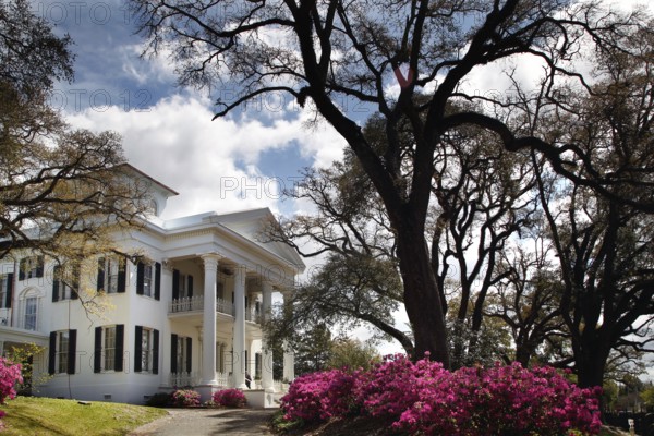 Impressive mansion with white pillars surrounded by blooming trees under a blue sky, Natchez,