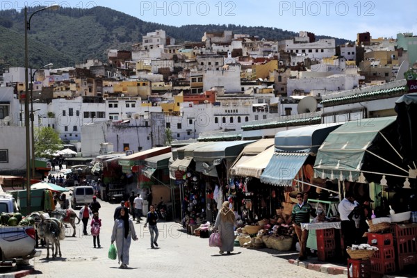 Bustling marketplace in a mountainous landscape with numerous stalls and people in the foreground,
