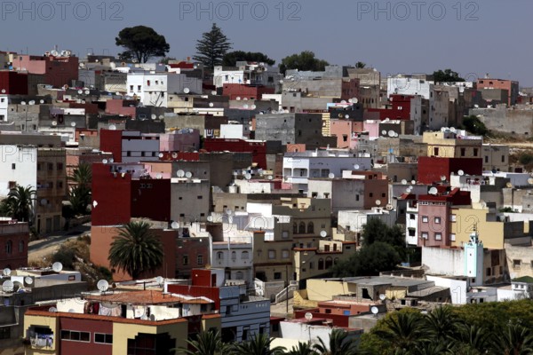 Colourful houses in a dense urban environment in Safi, Morocco, Safi, Marrakesh-Safi, Morocco
